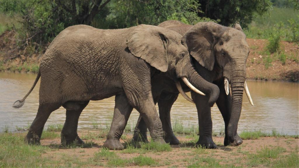 3 Days Amboseli National Park Safari