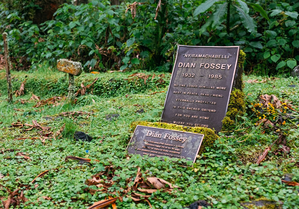 Hiking to the Dian Fossey tomb in Rwanda