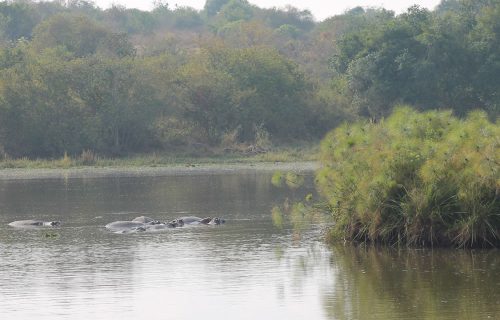 Eco Tourism in Uganda