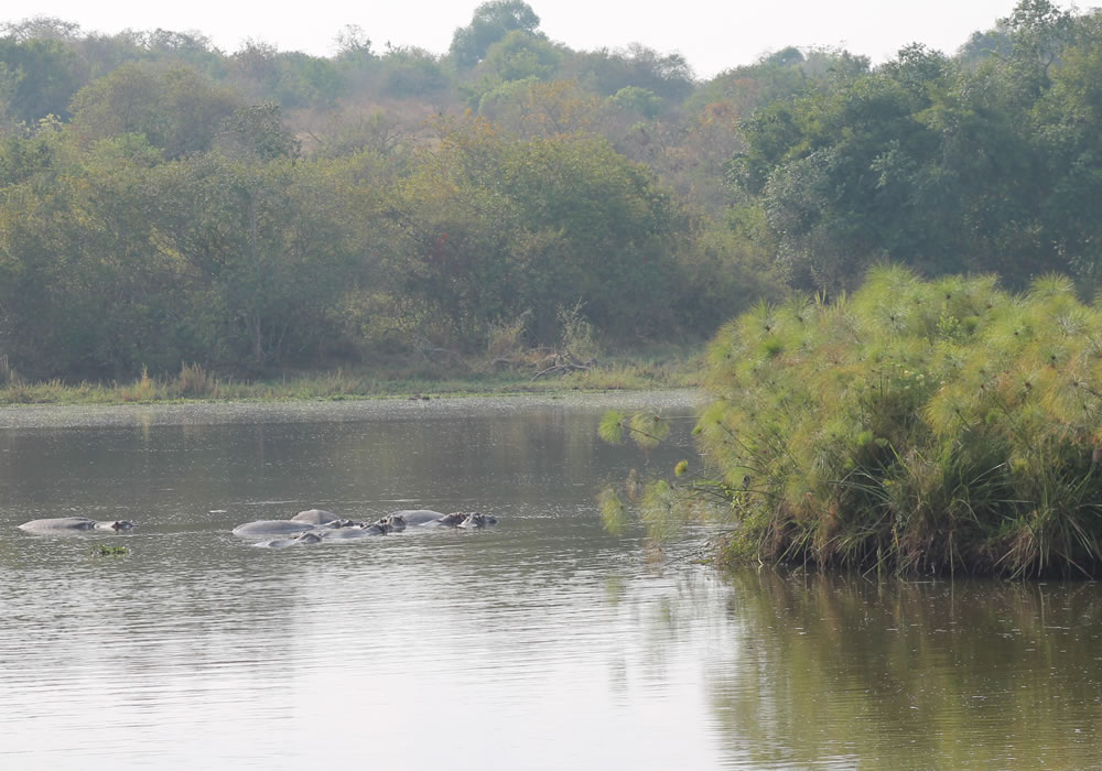 Eco Tourism in Uganda