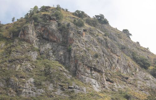 Mountain Hiking in Uganda