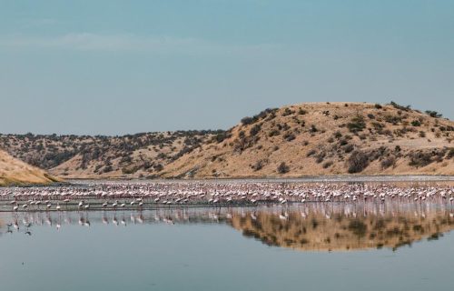 4 Days Kenya Tour to Lake Nakuru National Park