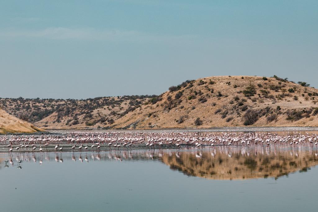 4 Days Kenya Tour to Lake Nakuru National Park