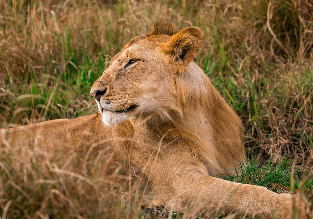 Queen Elizabeth National Park