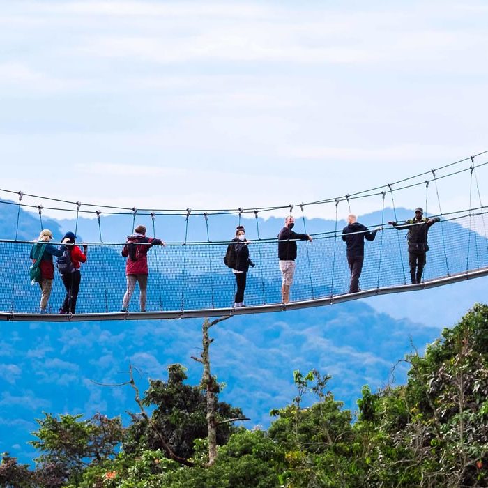 Nyungwe Forest National Park