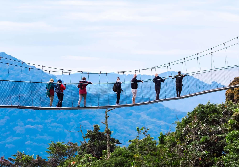 Nyungwe Forest National Park