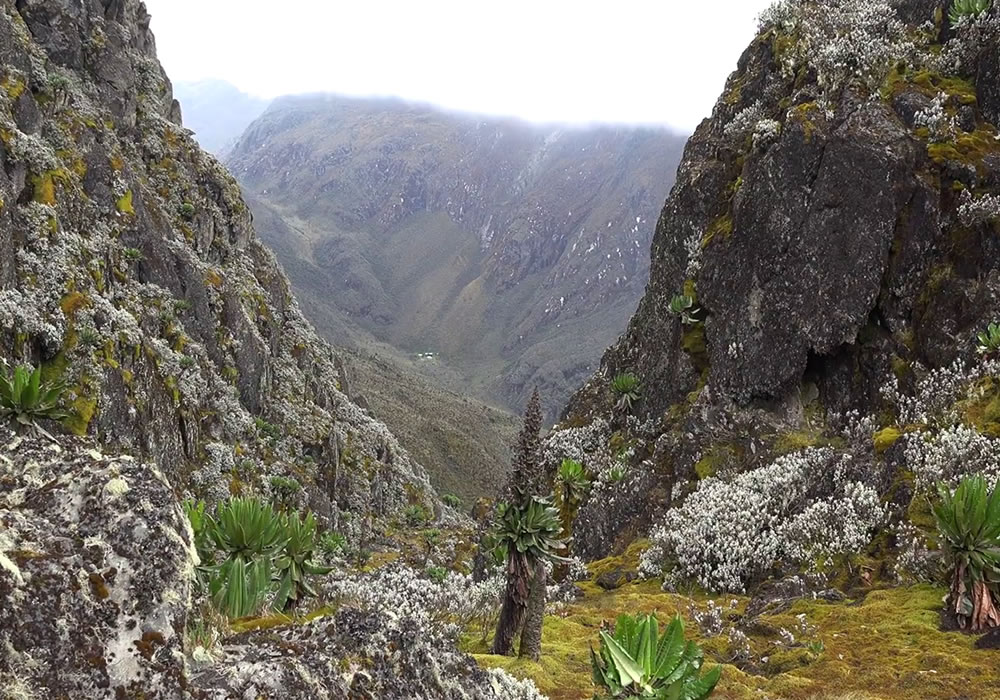 Rwenzori Mountains National Park