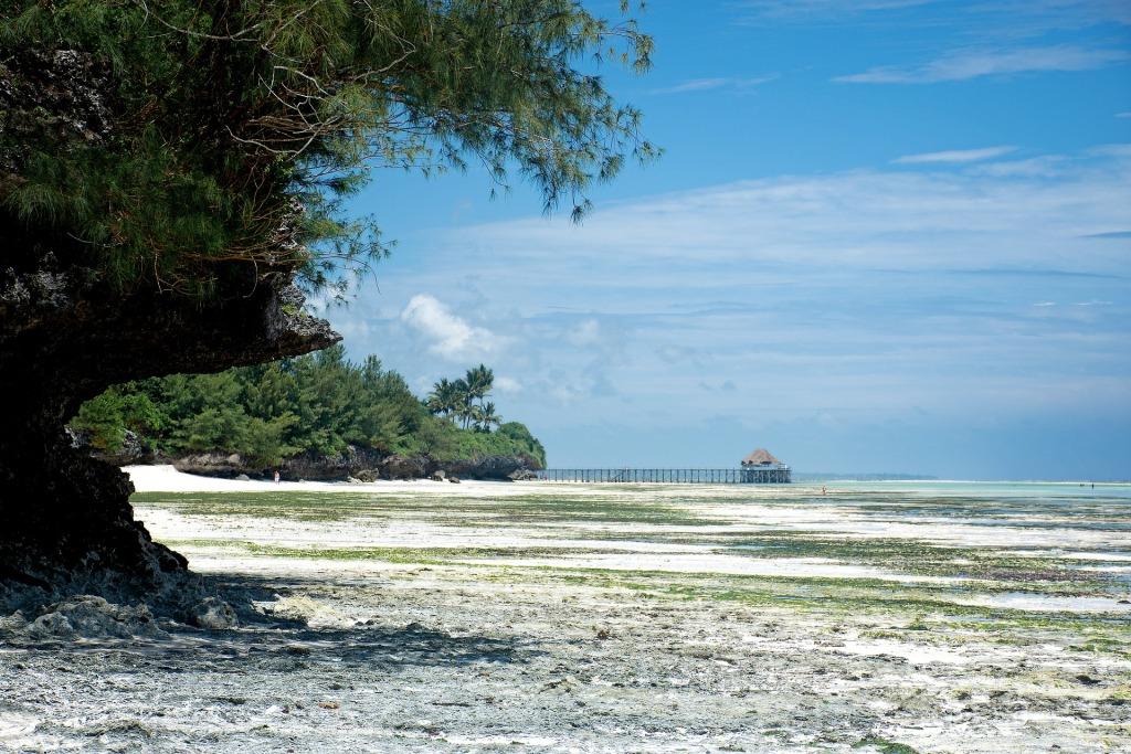 5 Days Best of Zanzibar Island Tour