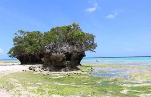 3 Days Zanzibar Caves and Pemba Island Tour