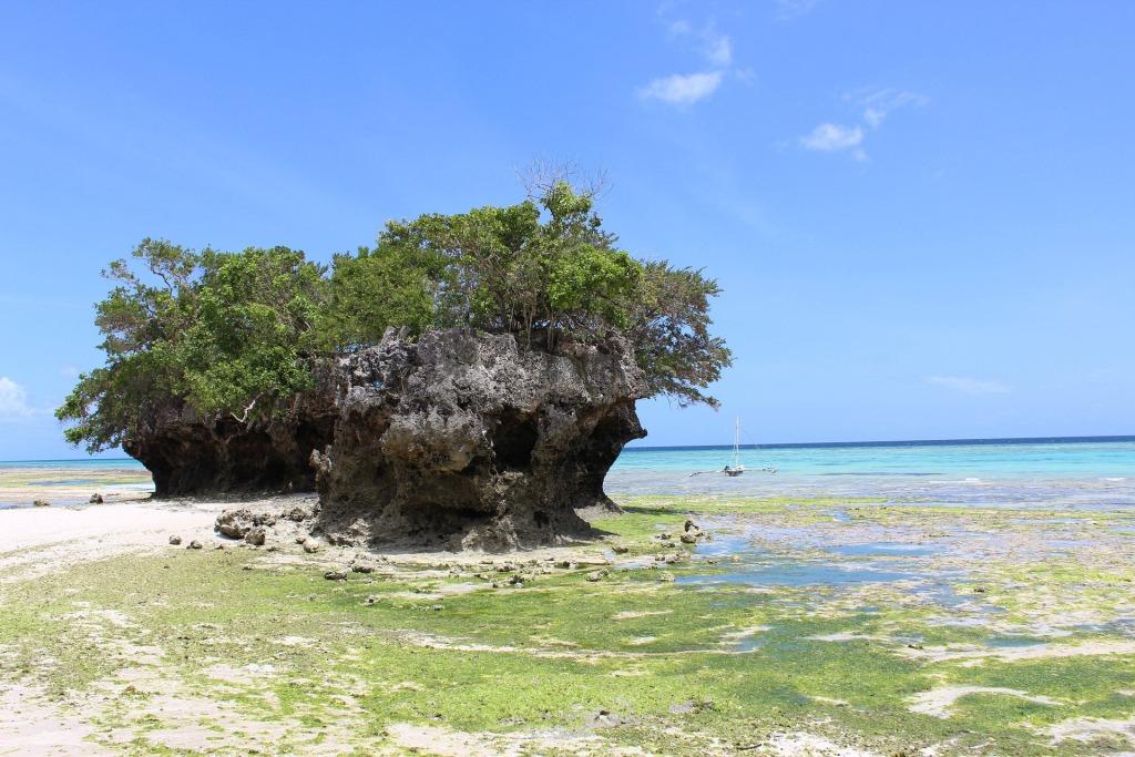 3 Days Zanzibar Caves and Pemba Island Tour