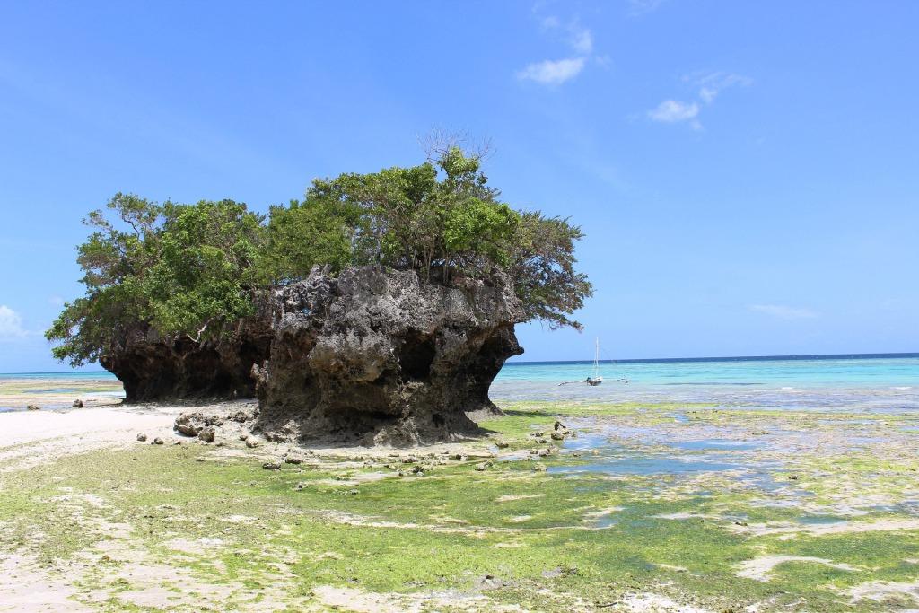 3 Days Zanzibar Caves and Pemba Island Tour